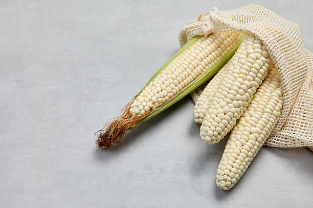 Top 10 Corn Suppliers in Brazil in Quarter 3 of 2025