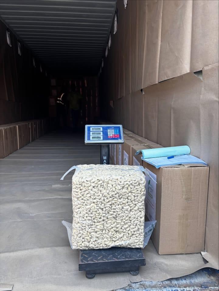 Raw Cashew Nuts for Sale | 320 Kernels Per Pound, ≤10-12% Moisture, 0% ...