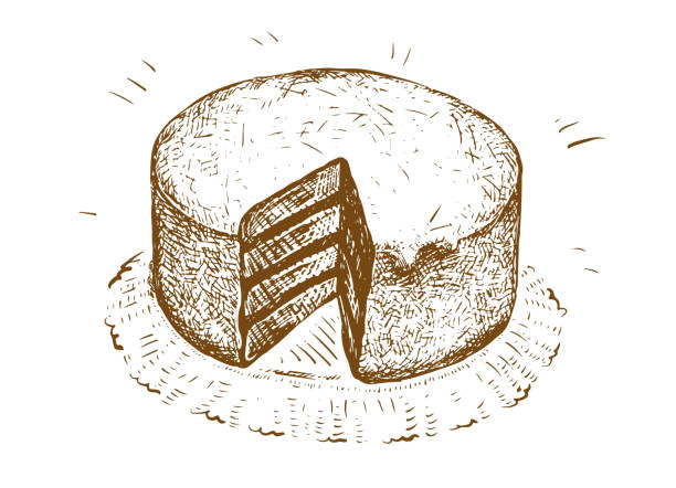 Top 8 Cake Suppliers in South Africa in July 2025: Navigating a Sweet but Shifting Market