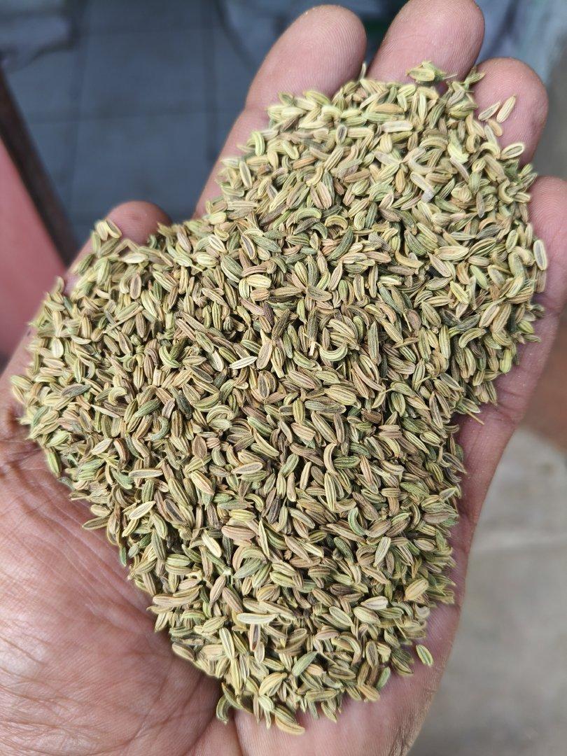 Fennel Seeds