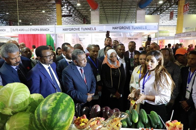 Why HORTIFLORA EXPO Matters for B2B - 2
