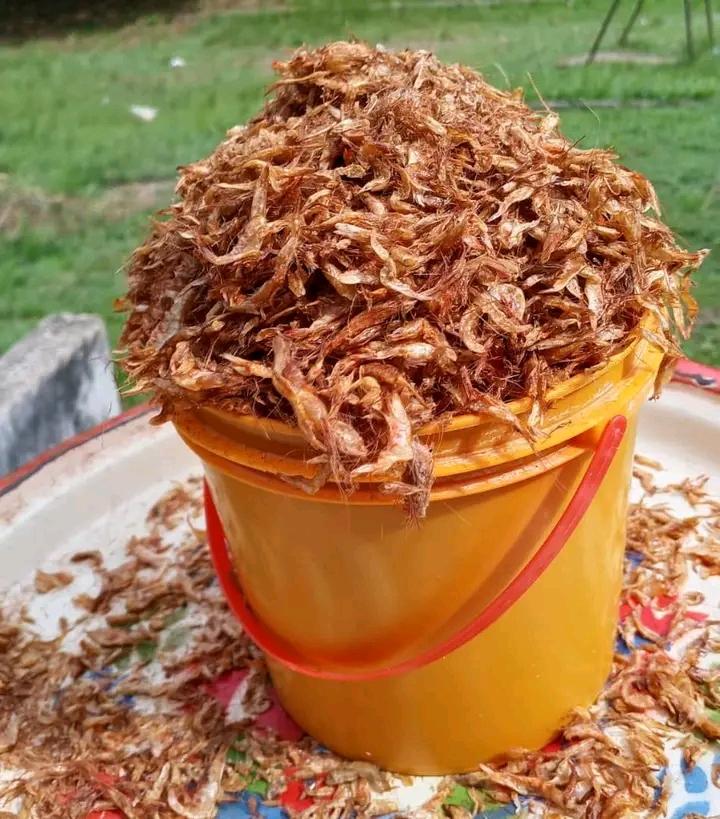 Dried crayfish 