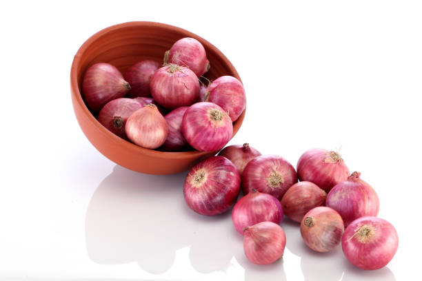 Top 7 Fresh Onion Suppliers in South Africa in September 2025