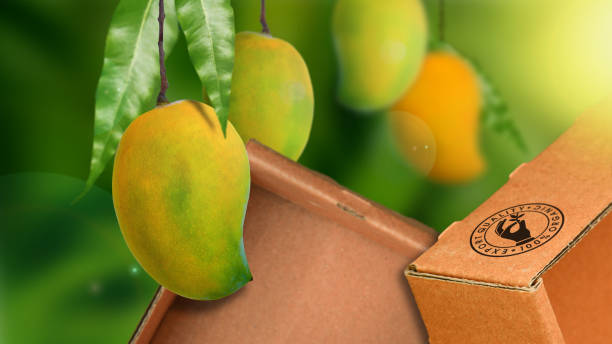 A Comprehensive Guide to Sourcing High-Quality Fresh Mango: Top 6 Fresh Mango Suppliers in Vietnam in July 2025