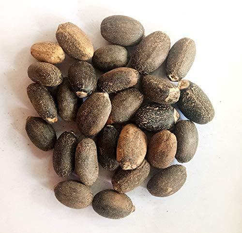 JATROPHER SEEDS Grade AA Shape LONG Drying Process SUN Shelf Life 24 MONTHS Max. Moisture (%) 12 Packaging 50 KG BAGS Fuel Alternative Diesel Oil