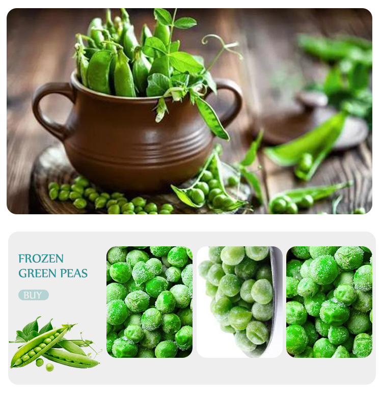 good sale Frozen IQF melon ball green frozen fruit