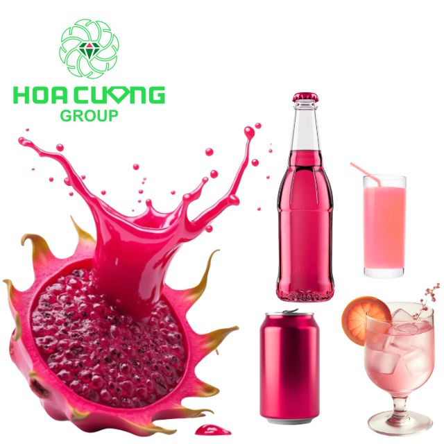 Concentrated Dragon Fruit Place of Origin Viet
