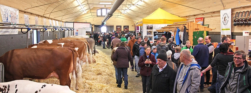 Why Attend AgriMesse Thun ? B2B Intro - 1