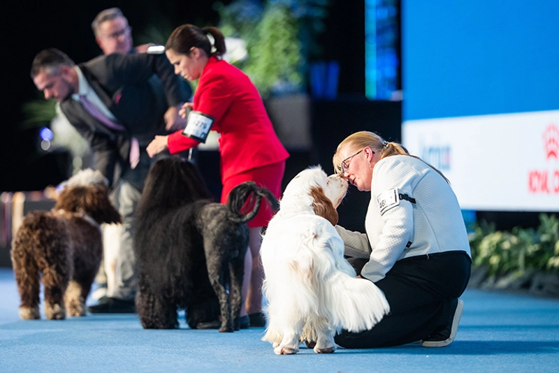 Discover FCI World Dog Show: B2B Event Guide - 1