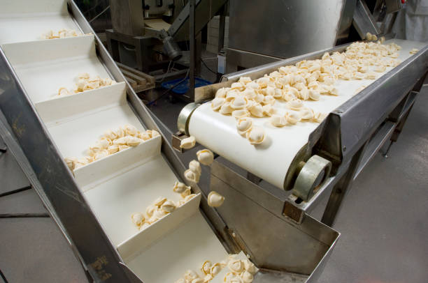 Top 6 Food Processing Machinery Suppliers in Turkey in Year 2025