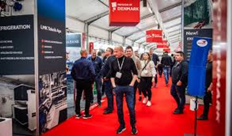 Inside DanFish International: B2B Key Insights - 1