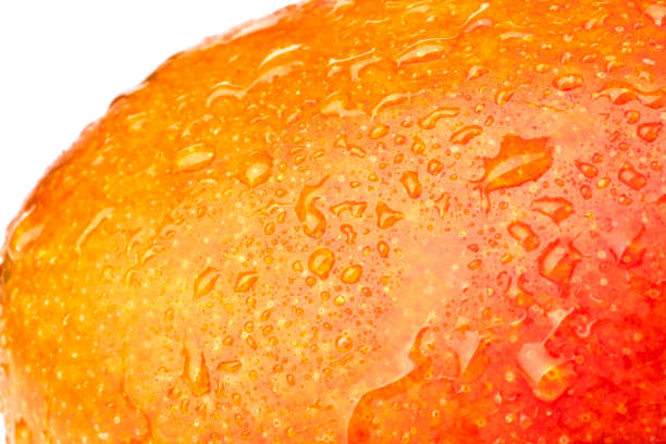 Your Expert Guide to Procuring Top-Tier Mango: Top 8 Mango Suppliers in Brazil in Week 18 of 2025