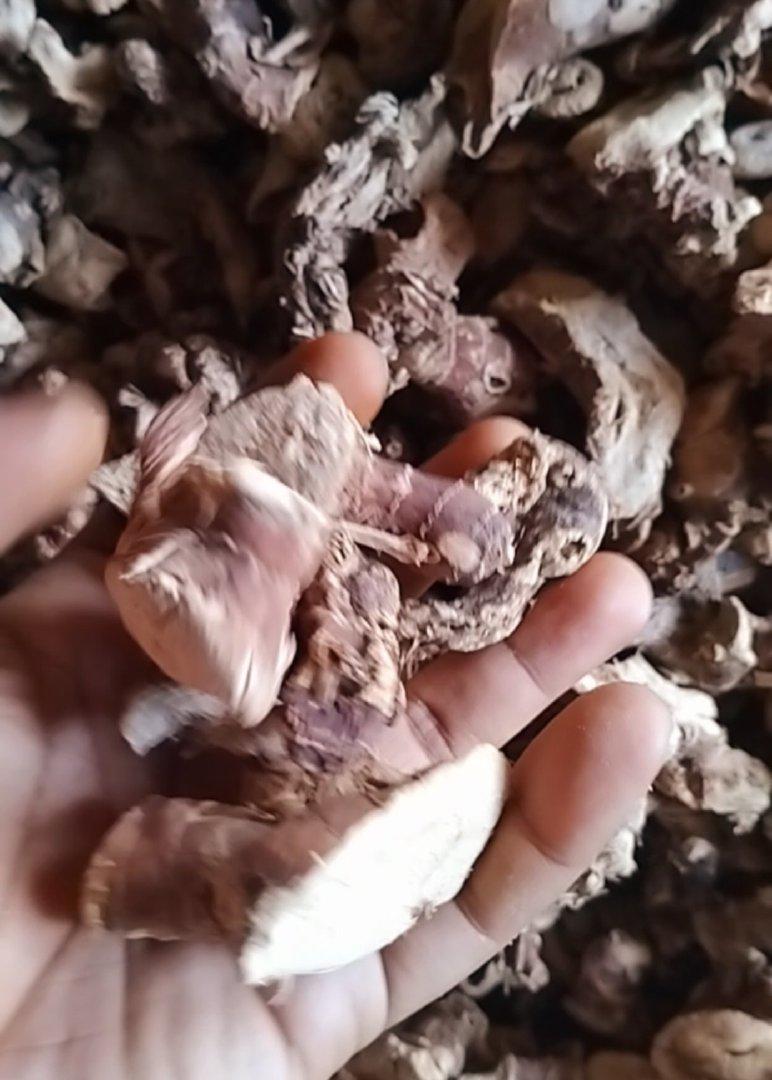 Dried Galangal Root