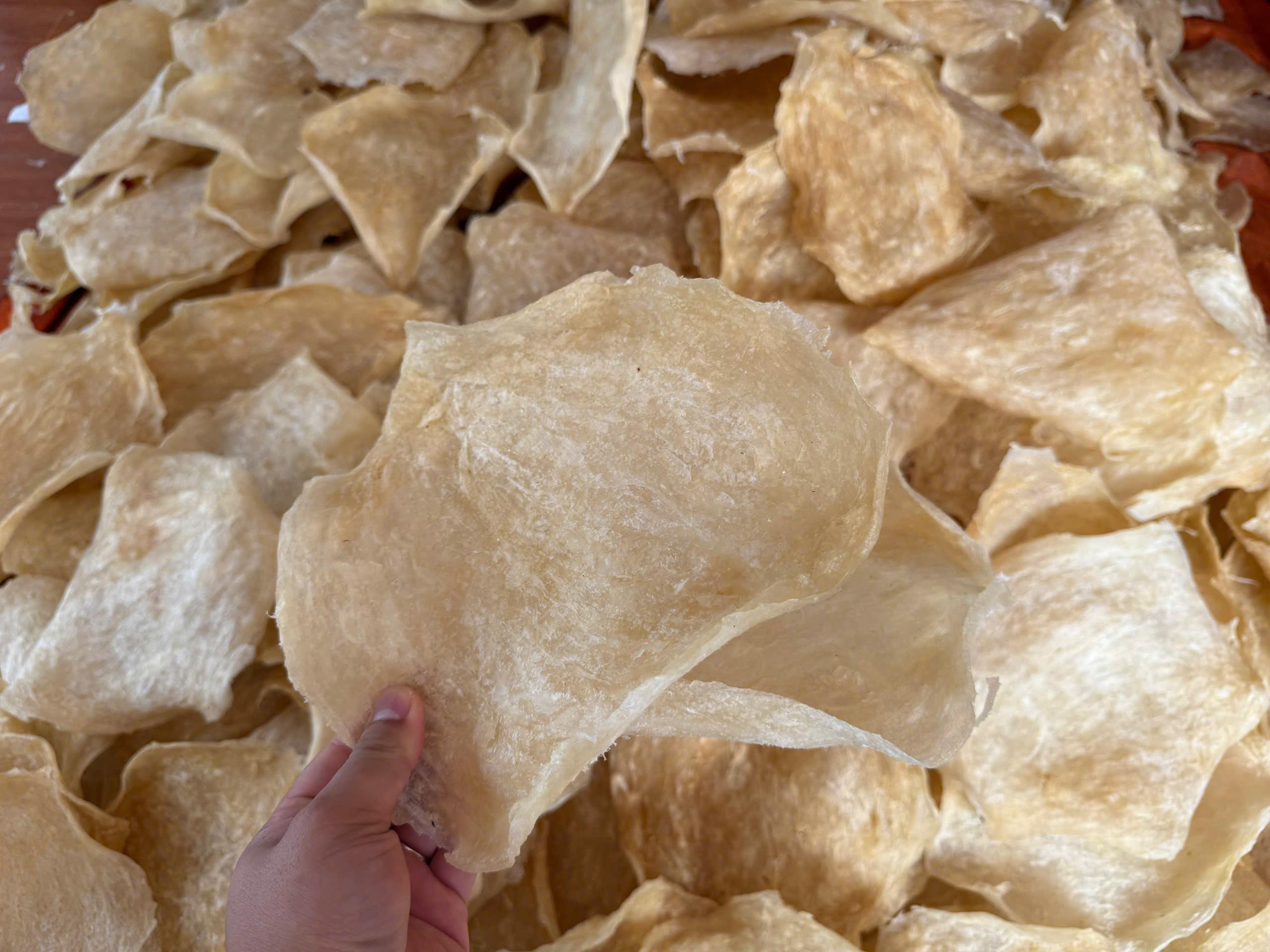 Premium Dried Fish Maw  – 100% Natural, Naturally Dried, Signature Betel Leaf Shape, Ready to export for Chinese cuisine