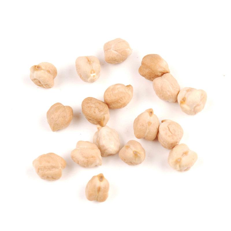 Wholesale MC Quality Dried Chickpea Kabuli Chick Peas