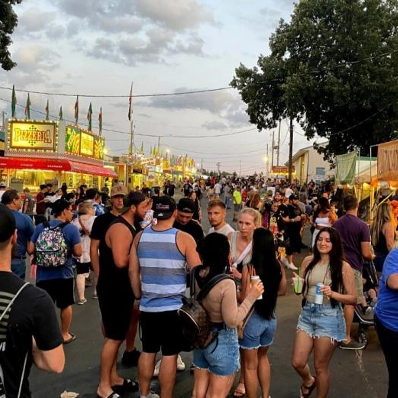 Discover Anoka County Fair: B2B Event Guide - 2