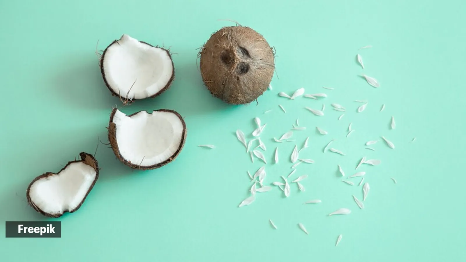 Dry Coconut Image 1
