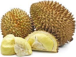 Fresh Durian Monthong Fruit