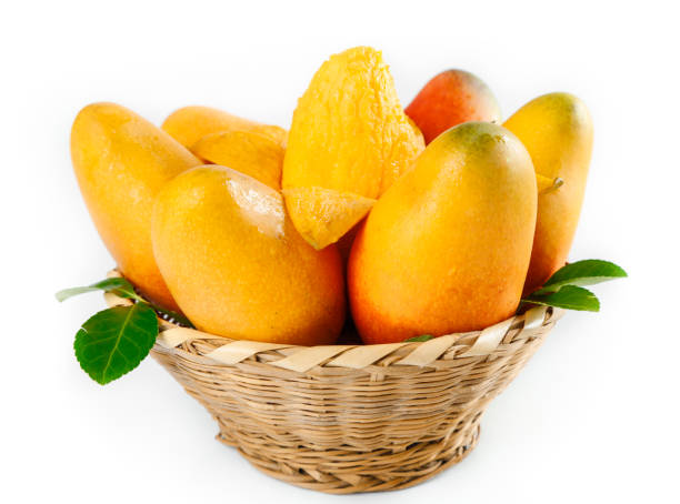 Top 7 Mango Suppliers in Pakistan in Year 2025