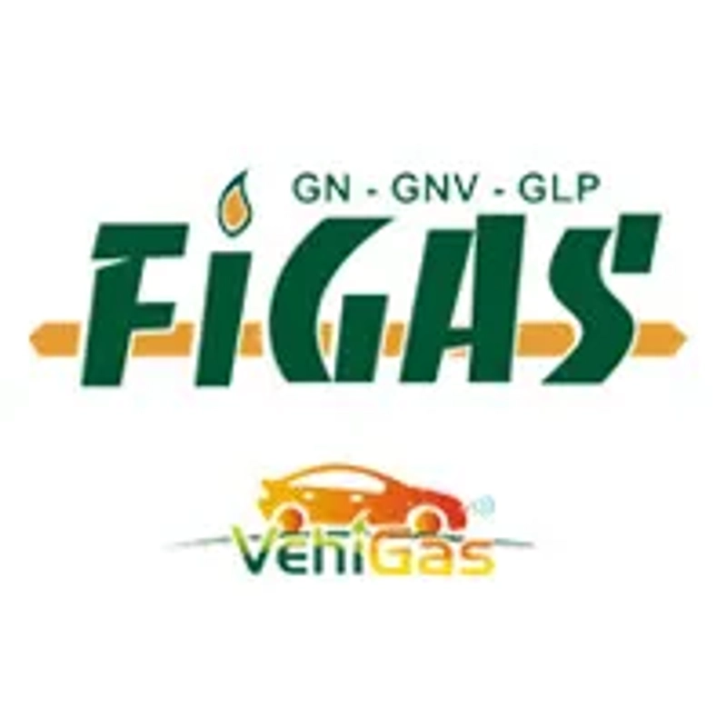 Why FIGAS & VEHIGAS Matters for B2B