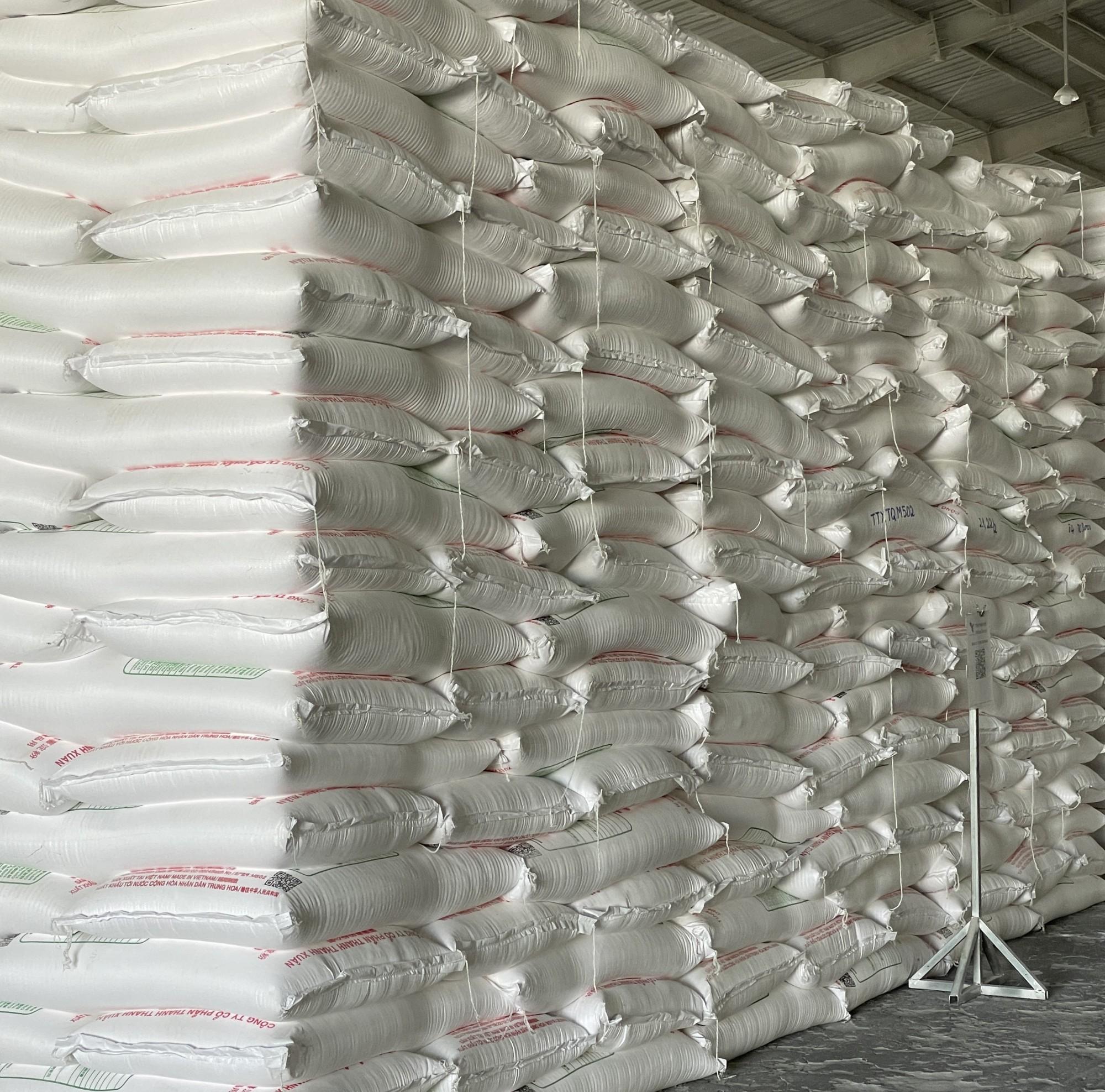 Meet the Top 3 Tapioca Starch suppliers in Vietnam