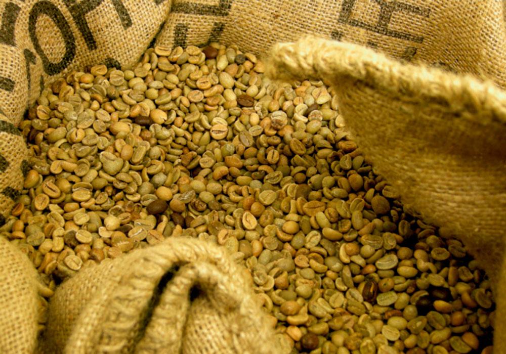 Brazilian Green Coffee