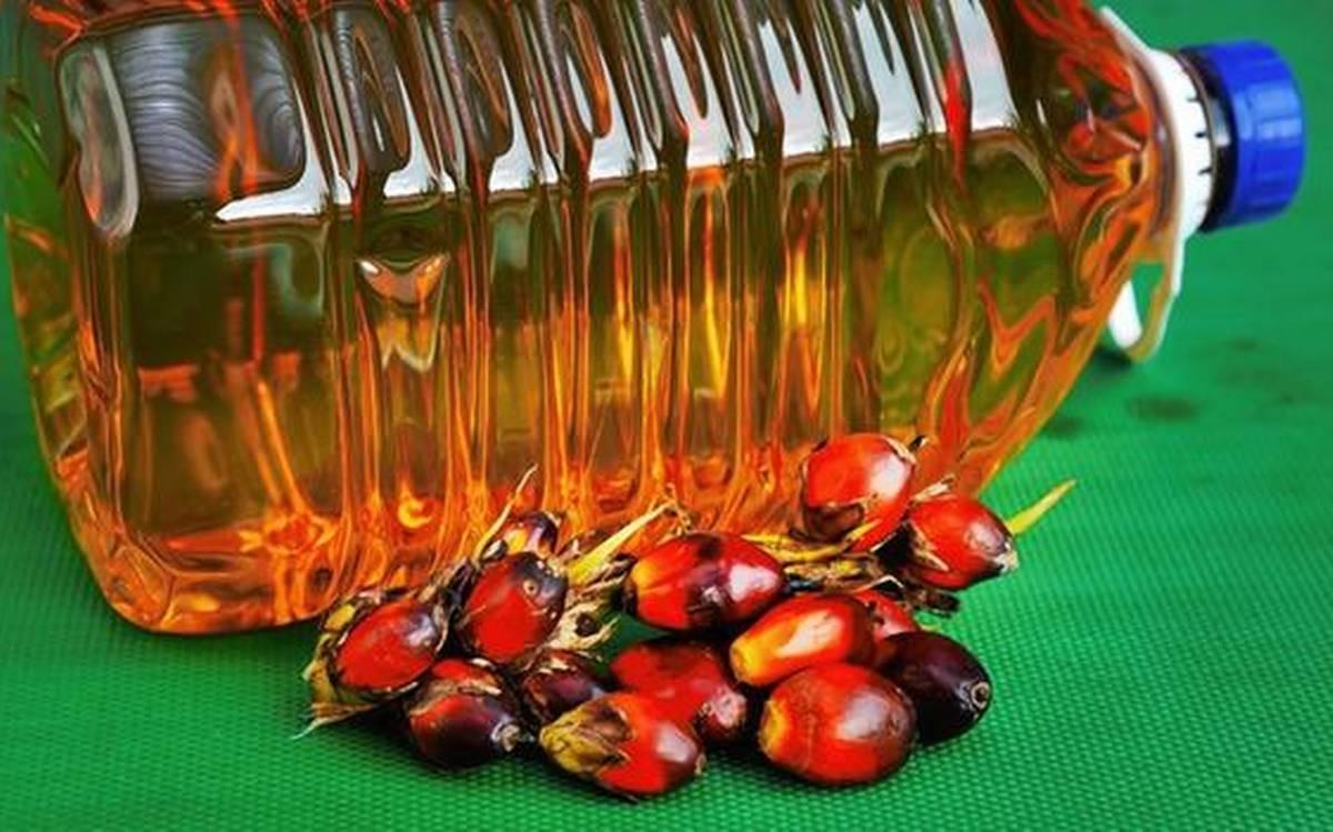 Refined Palm Oil for Restaurants and Catering Businesses Requiring Stable Cooking Performance