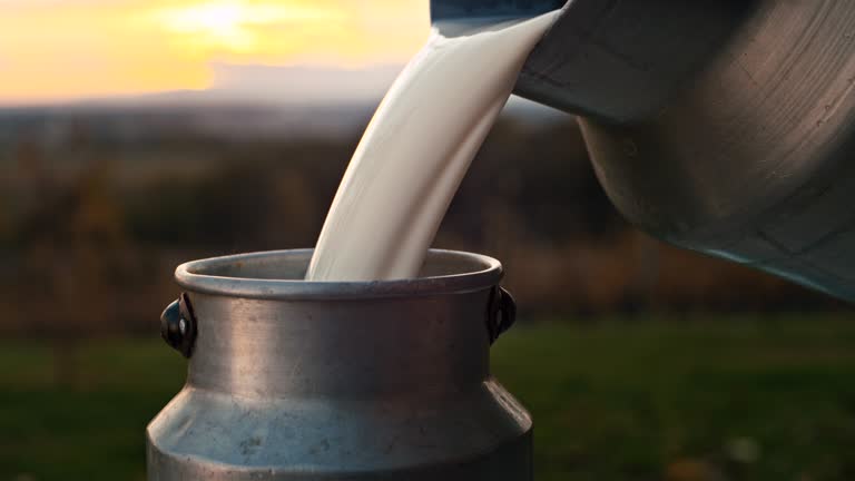 Top 6 Other Milk Suppliers in United Arab Emirates in August 2025