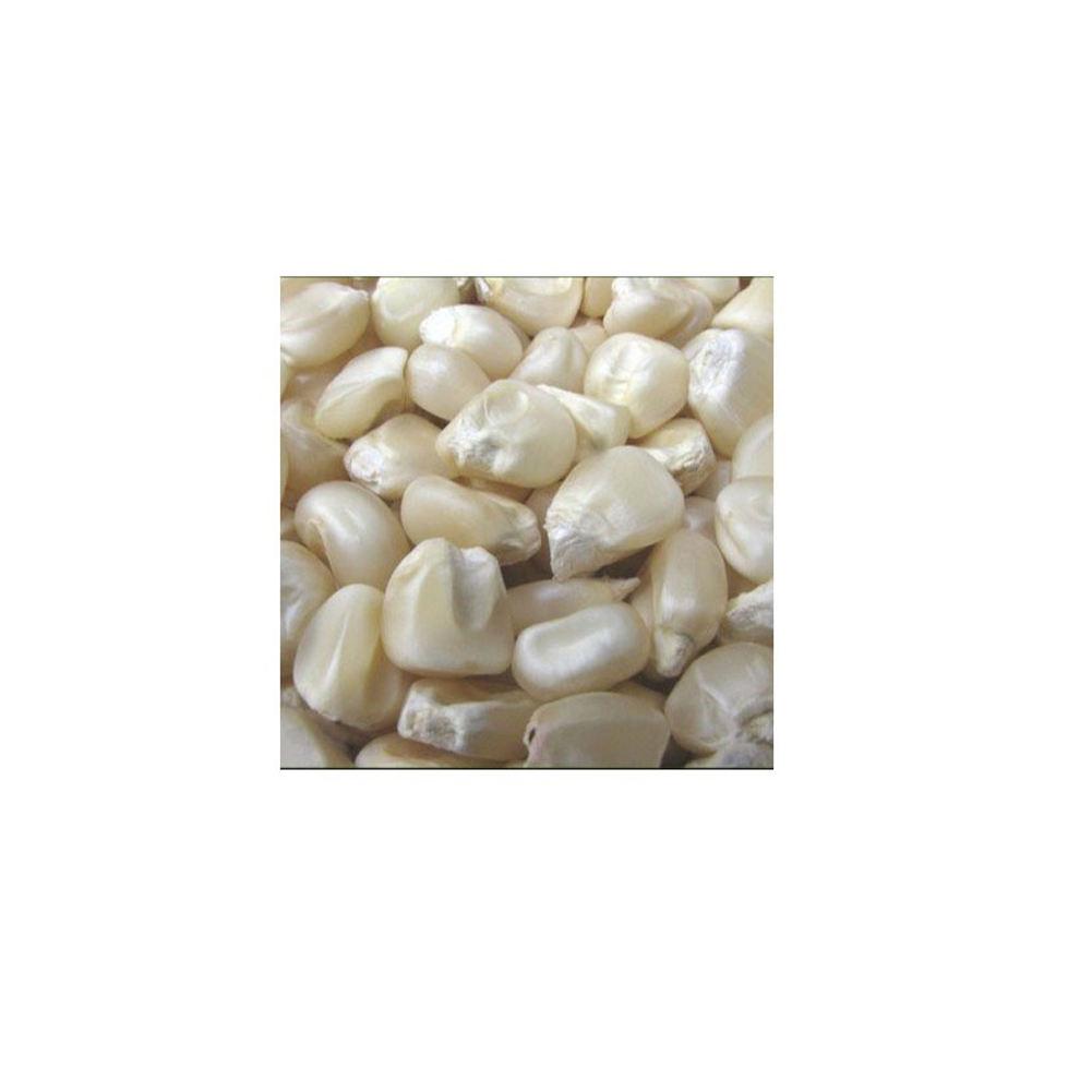 High Volume Corn Supply frozenchickenexports.com