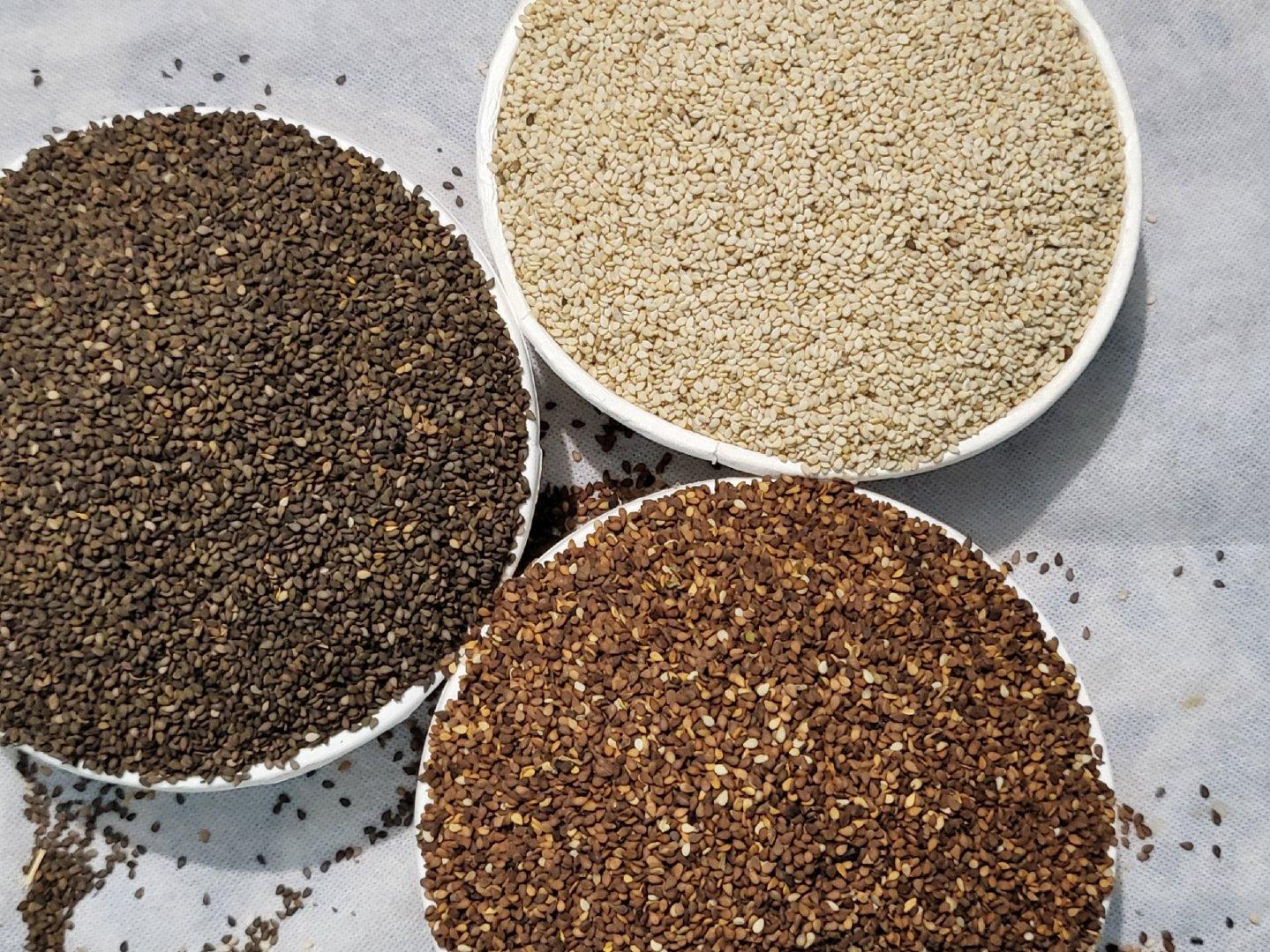White Sesame Seeds