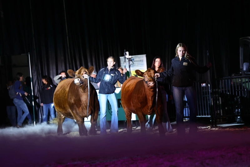 Farmfair International Revealed: B2B Opportunity - 2