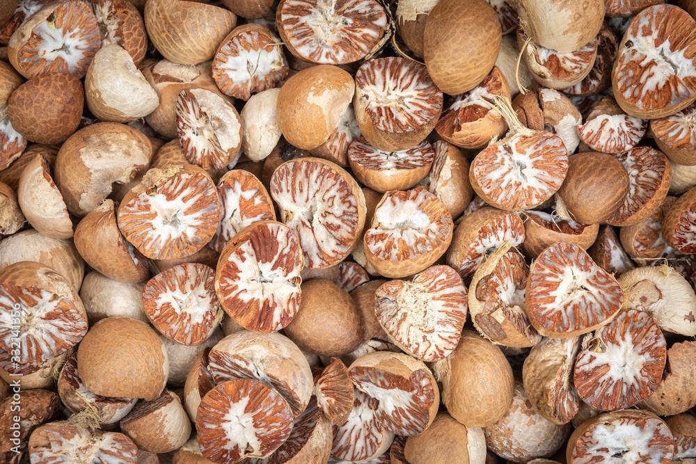 Areca Nut Use and Quality