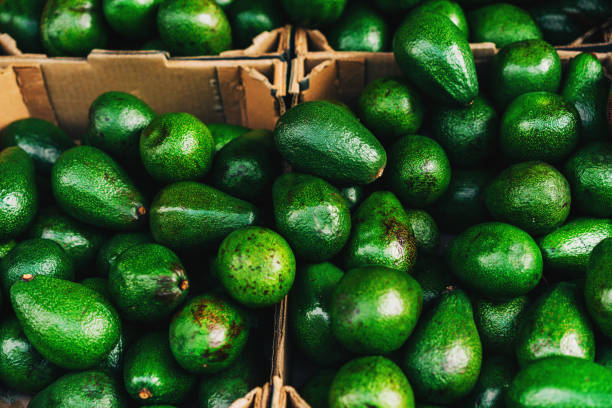 Top 4 Avocado Suppliers in Ukraine in Year 2025: Market Insights & Export Data