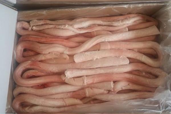 Frozen Beef Pizzle