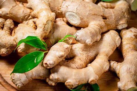 Ginger Admixture Max 1% Product Type Ginger Cultivation Type: Common / Organic Taste/Flavor Highly Pungent, Spicy, Aromatic