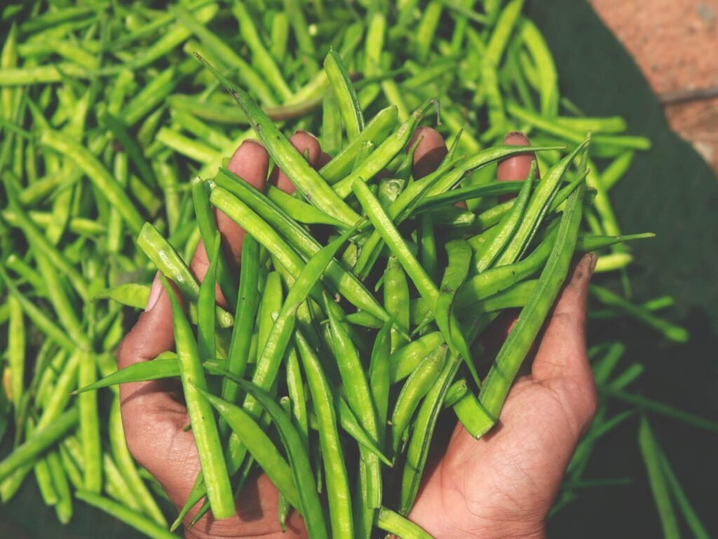 Raw Guar Gum Beans