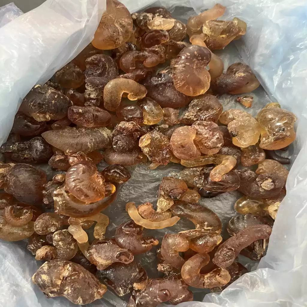 Gum Arabic Product Image 1