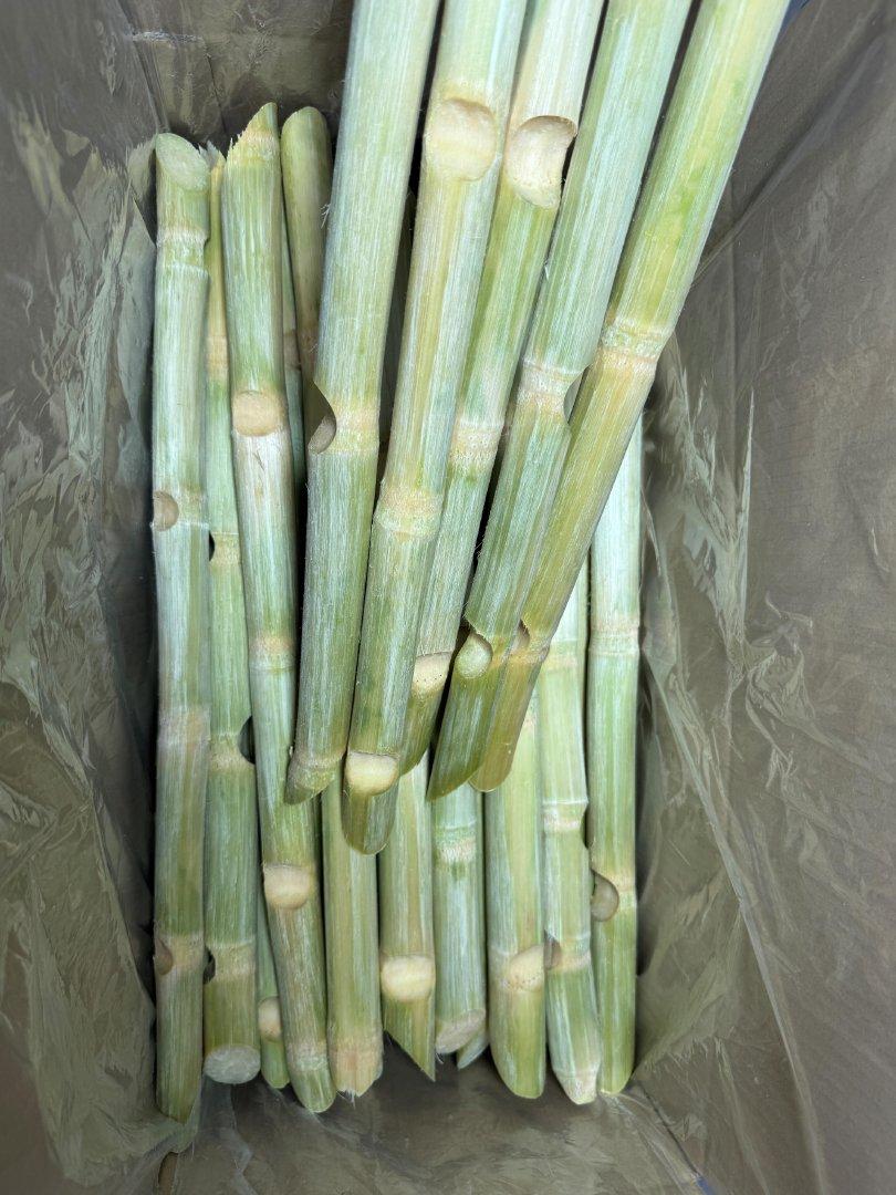 Frozen Sugarcane Image 1