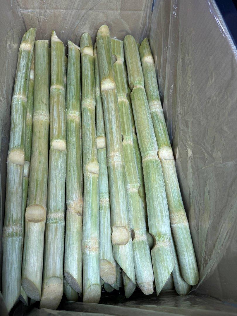 Frozen Sugarcane Image 2