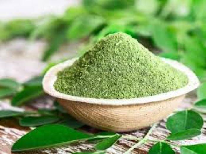 Top 7 Herbs suppliers in India — 7 Capabilities Reviewed - 2