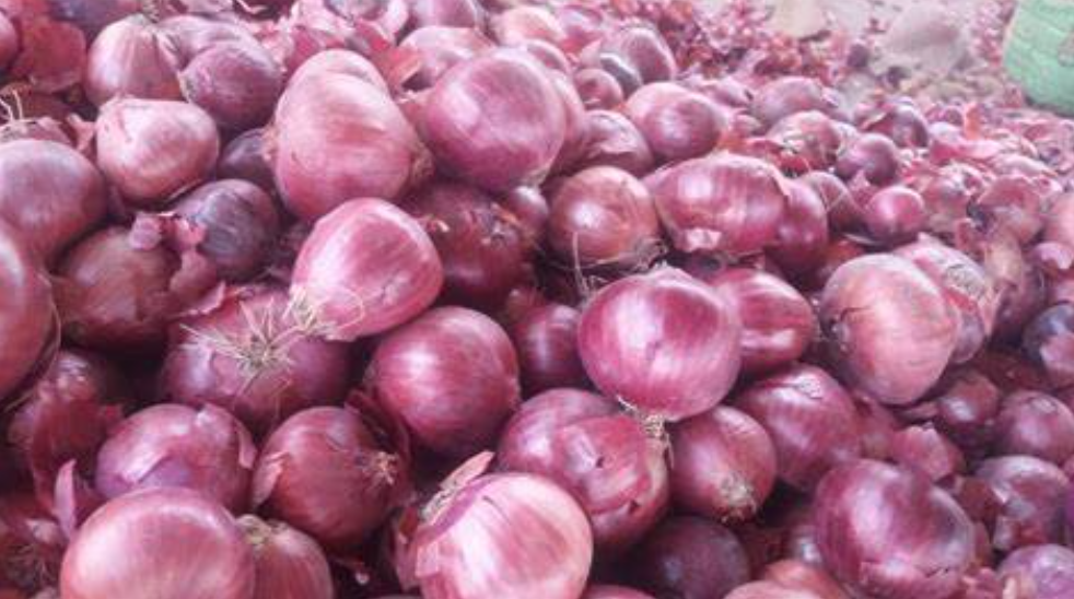 Top 3 Verified Fresh Vegetables suppliers in Pakistan for Global Buyers - 1