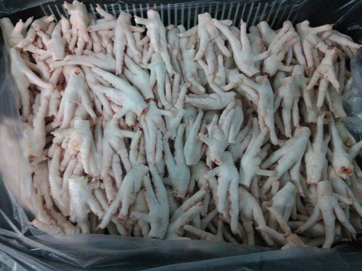 Frozen Grade A+ Chicken Feet, Frozen Chicken Paws