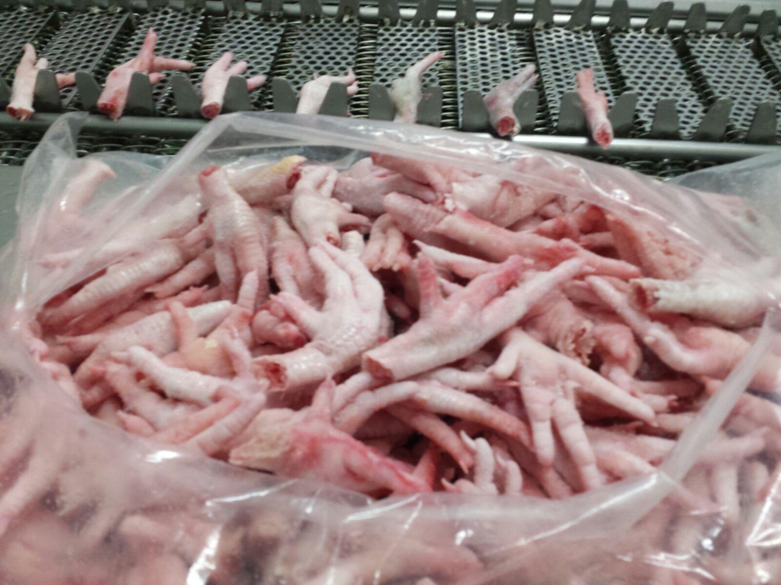 Frozen Grade A+ Chicken Feet, Frozen Chicken Paws