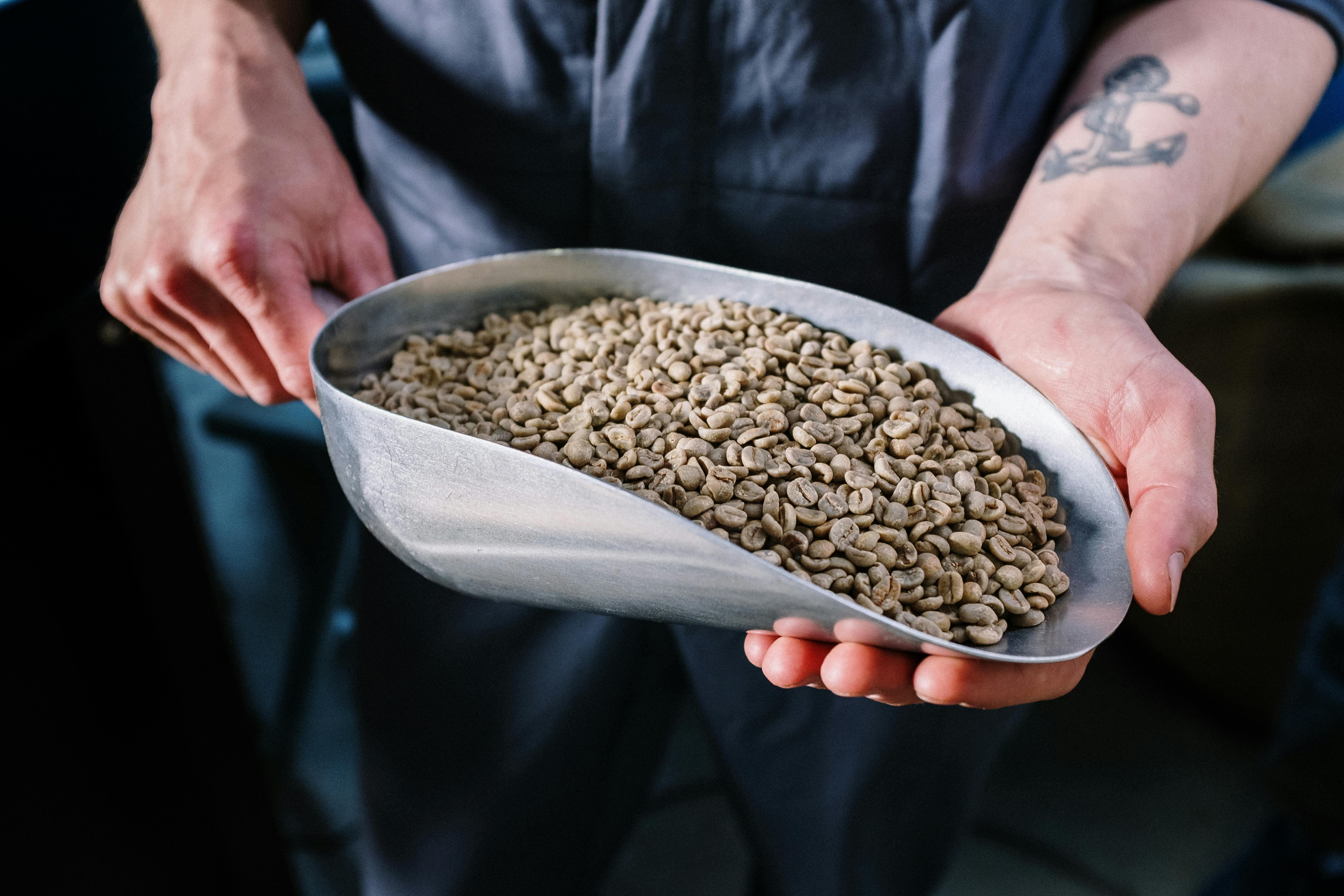 Top 4 verified Arabica Coffee suppliers in United Arab Emirates for Global Buyers - 2