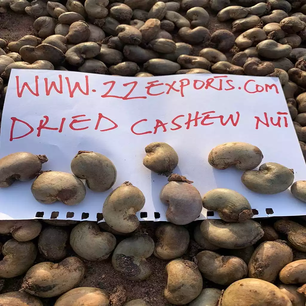 Raw Cashew Nut