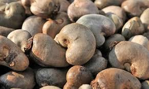 RAW Cashew Nut