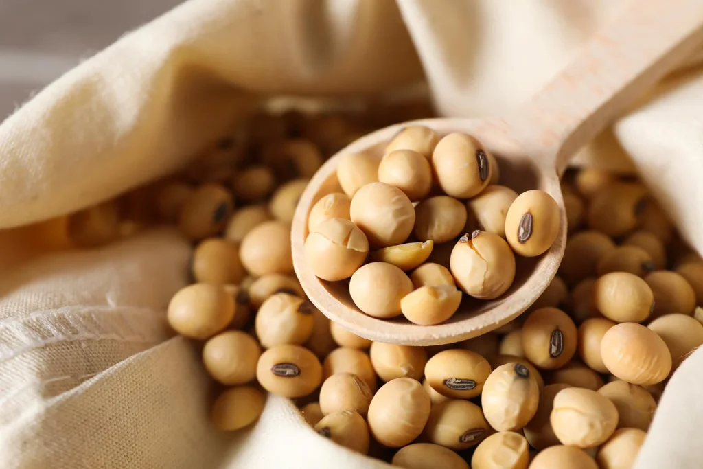 Soybeans seed Features GMO-Free Degree of Processing Dried, Raw Origin Argentina, Brazil, Canada, Other, Paraguay, USA, Ukraine, Uruguay