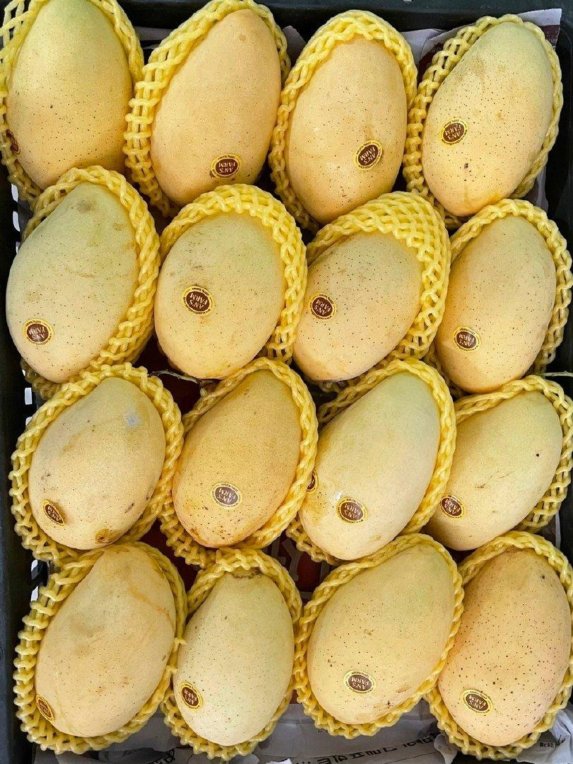 Top 7 verified Mango suppliers in Vietnam for global buyers - 1